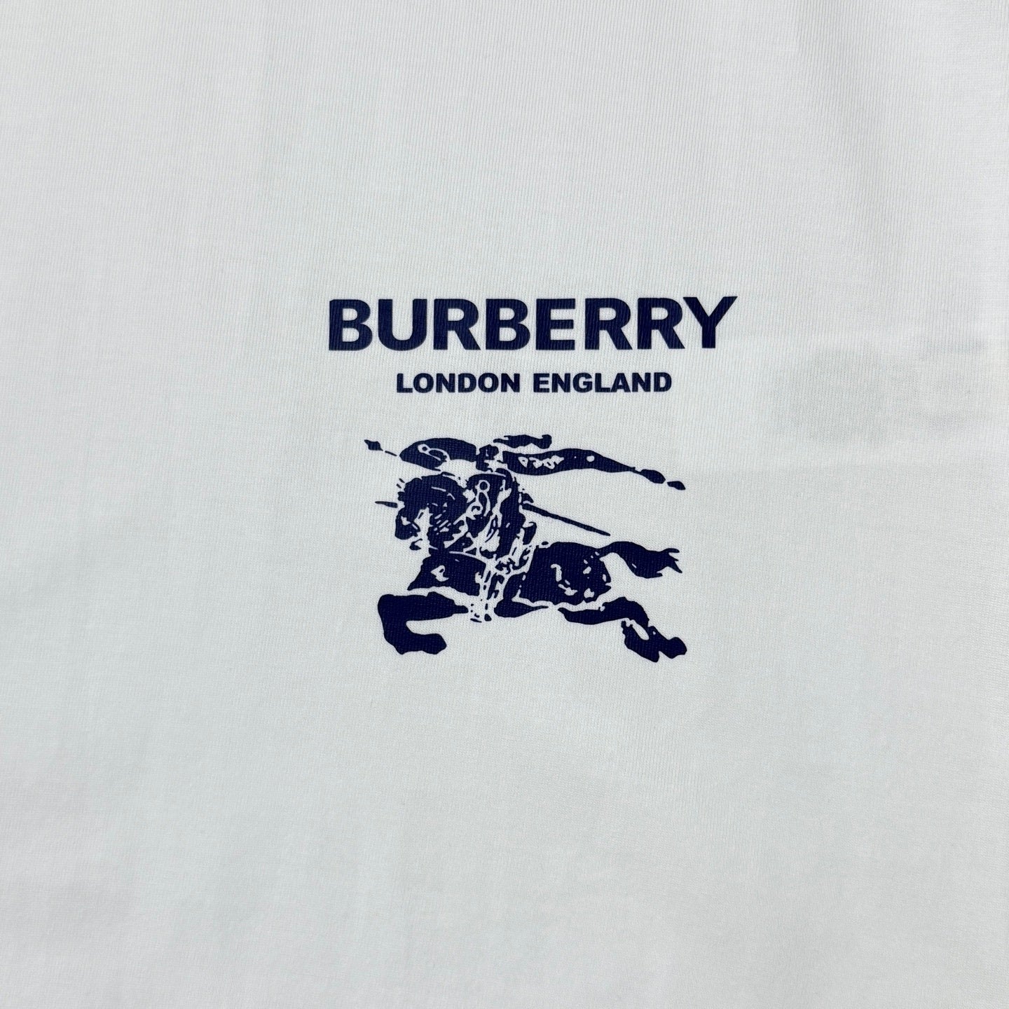 Men’s T-Shirt R100052-H59