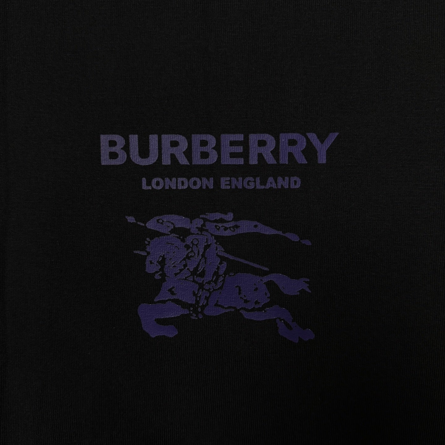 Men’s T-Shirt R100052-H59