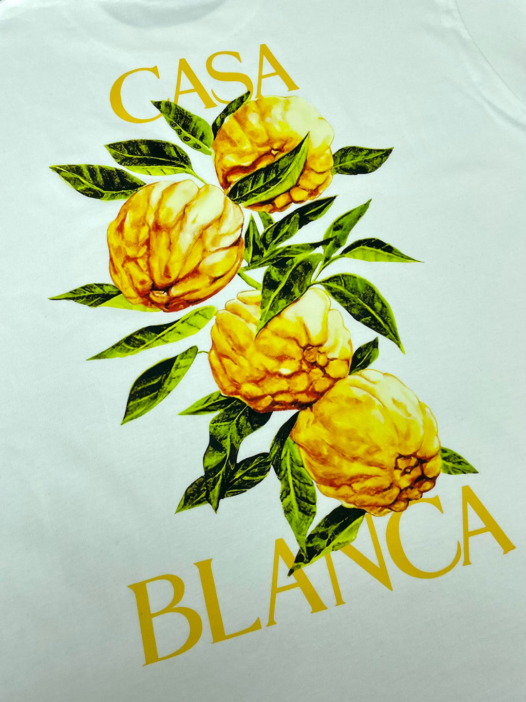 Men’s T-Shirt R74835-H39