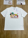 Men’s T-Shirt R100501-H39